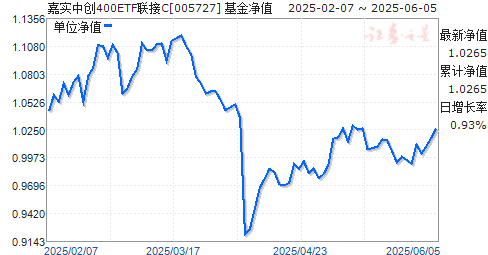 ʵд400ETFC(005727)ֵ