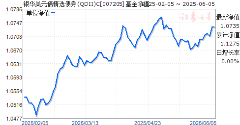 银华美元债精选债券qdiic