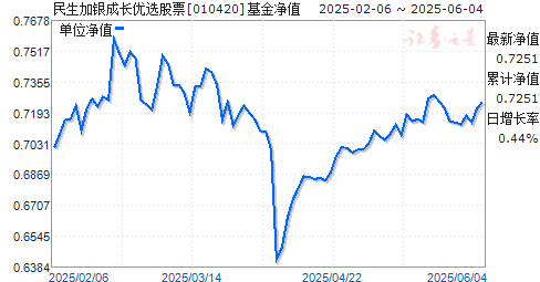 民生加银成长优选股票