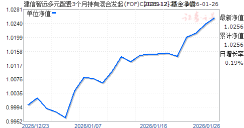 ������Զ��Ԫ����3���³��л�Ϸ���(FOF)C(026112)��ֵ����