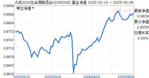 大成2020基金净值查询