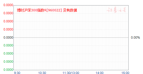 ʱ300ָR(960022)ֵ