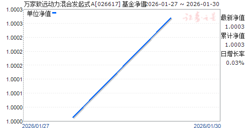 �����Զ������Ϸ���ʽA(026617)��ֵ����